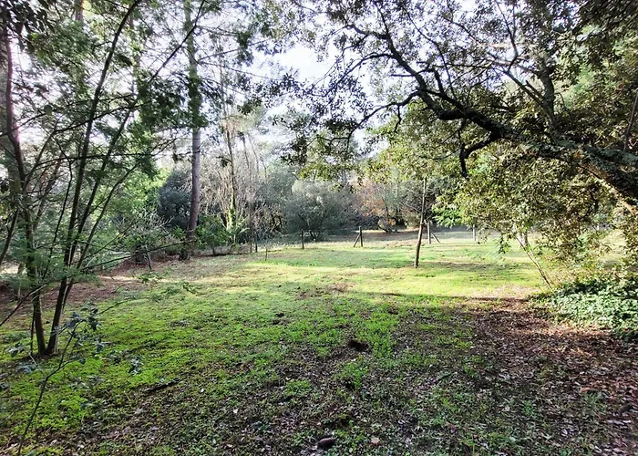 Tatil Evi Spacieuse Pour 10 Pers - Parc - Wi-fi, Climatisation - Fr-1-705-110